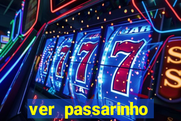 ver passarinho morto significado espiritual